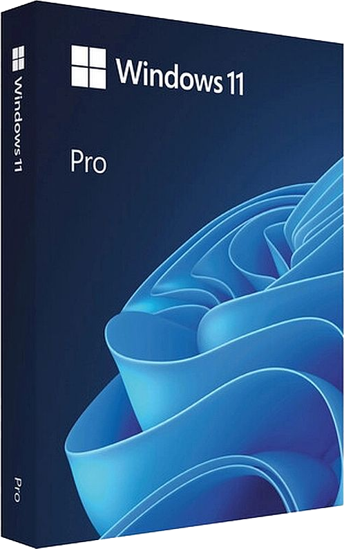 Windows 11 Pro